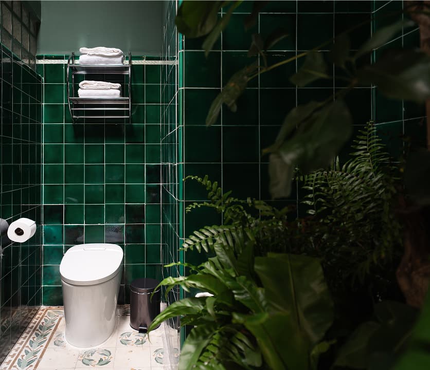 A Bathroom with Its Own Atmosphere
