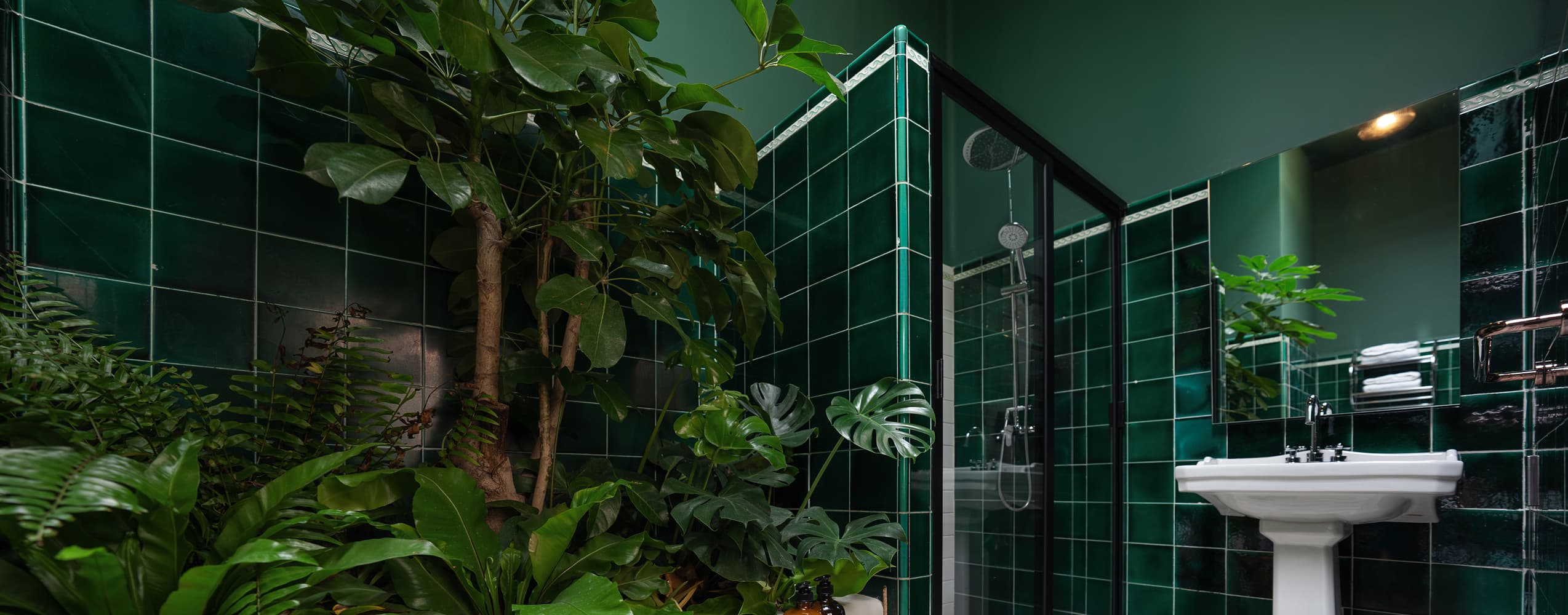 Amante Studio interior